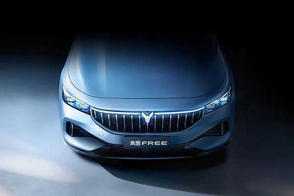 纯电增程均可选，明年三季度上市！岚图首款量产车命名岚图FREE
